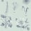Papier peint Roseraie Clarke and Clarke Seaglass W0197/04