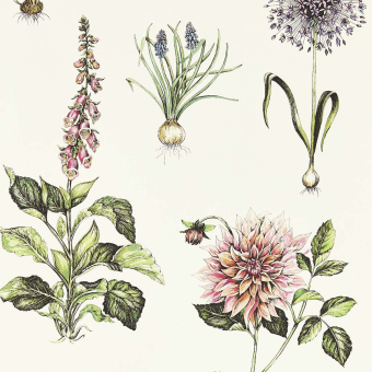 Tapete Roseraie