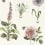 Papier peint Roseraie Clarke and Clarke Summer W0197/05