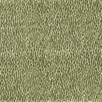 Velluto Lacuna