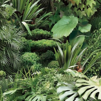 Papier peint panoramique Jungle Urbaine
