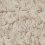 Stoff Sépia Coordonné Sand TSEPSAN