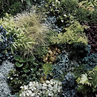 Papier peint Arche Végétal Mix