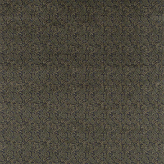 Winthrop Paisley Fabric
