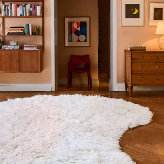 Tapis Residue Shaggy