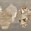 Hiva Panel Masureel Athene DG4HIV1031+32+33+34