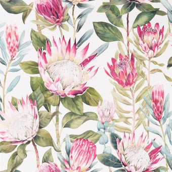 Tapete King Protea