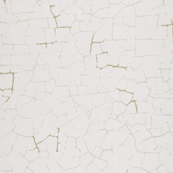 Papel pintado Fissure