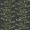 Climbing Vine Wallpaper Rifle Paper Co. Black RF7422