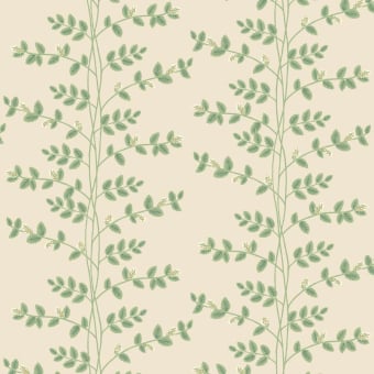 Climbing Vine Wallpaper
