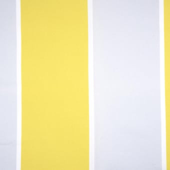 Raio Fabric