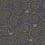 Carta da parati Stoclet Jannelli & Volpi Black 25603