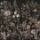 Papier peint panoramique Silk Floral Rebel Walls Midnight R18729
