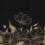 Floral Fantasy Panel Rebel Walls Black R20464