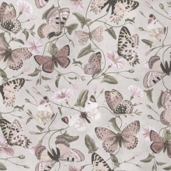 Panoramatapete Butterflies