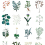 Panoramatapete Herbarium Bien Fait Blanc BF-HER-WHT-SM