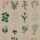 Panoramatapete Herbarium Bien Fait Kraft BF-HER-KFT-SM