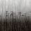Papeles pintados panorámico Autumn Haze Rebel Walls Black and White R18854