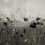 Carta da parati panoramica Poppy Field Rebel Walls Vintage R18870