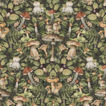 Panoramatapete Mushroom Forest