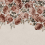 Rose Plenty Panel Rebel Walls Pink R18706
