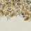 Papier peint panoramique Rose Plenty Rebel Walls Yellow R18707