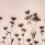 Panoramatapete Astrantia Rebel Walls Pink R18883