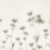 Panoramatapete Astrantia Rebel Walls Black & White R18882