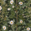 Panoramatapete Rose Hip Rebel Walls Midnight R18703