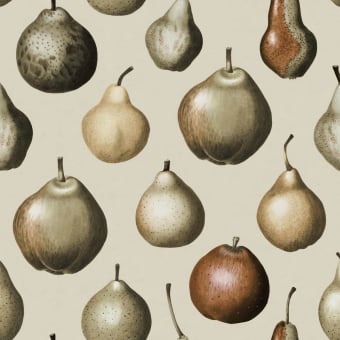 Carta da parati panoramica Vintage Pear
