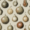 Panoramatapete Vintage Pear Rebel Walls Vintage R18689