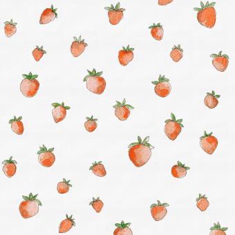 Carta da parati panoramica Berry Cute