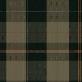 Papier peint Equestrian Plaid