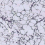 Papel pintado Margate Marble Poodle and Blonde Midnight Lavender /WLP-01-MM-ML