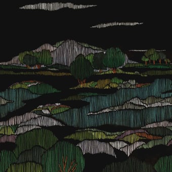 Carta da parati panoramica Obscurité Végétale