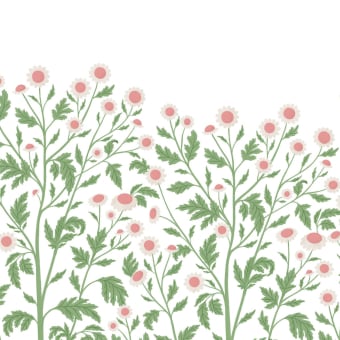 Papier peint panoramique Chamomile