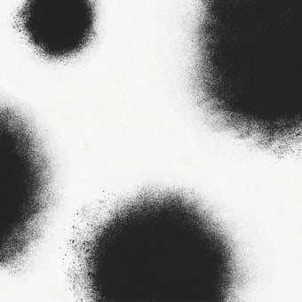 Papier peint Ash Dots