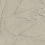 Papel pintado Silk Shadows Rebel Walls Beige R18758