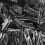 Papier peint panoramique Naica London Art Monochrome 20505-01