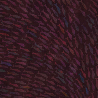 Papeles pintados panorámico Rainbow Fish