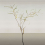 Panoramatapete Acacia Tenue de Ville Beige ALC-240114