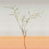 Panoramatapete Acacia Tenue de Ville Tangerine ALC-240121