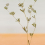 Pampa Panel Tenue de Ville Tangerine ALC-240821