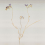 Panoramatapete Freesia Tenue de Ville Naturel ALC-240503