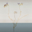 Panoramatapete Freesia Tenue de Ville Royal ALC-240515
