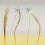 Papier peint panoramique Bluestar Tenue de Ville Sauterne ALC-240308