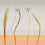 Papier peint panoramique Bluestar Tenue de Ville Tangerine ALC-240321