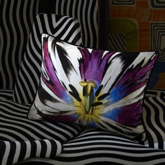 Cuscino Eclosion