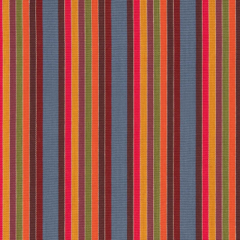 Wild One Fabric