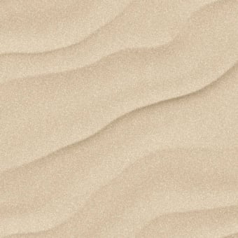 Sahara Panel